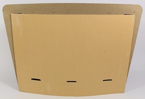 Ctsh5261