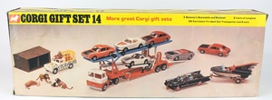 Cgs14t1743