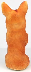 Corgi dog w9991
