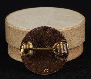 Dinky badge kk543 back